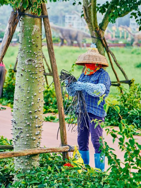 pexels-bulat-5603387