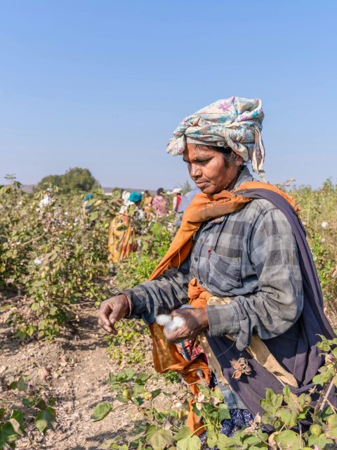 pexels-equalstock-20344411